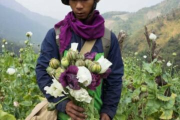 စနစ်တကျဖွဲ့စည်းထားသော ရာဇဝတ်မှုများသည် မြန်မာနိုင်ငံ၏ ပြည်တွင်းစစ်တွင် ကြီးထွားနေပြီး  ကမ္ဘာလုံးဆိုင်ရာ ခြိမ်းခြောက်မှုဖြစ်လာ