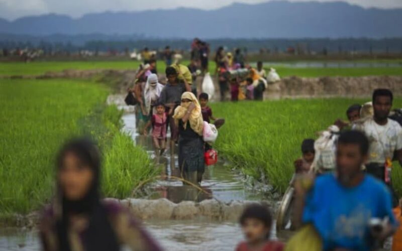 ရခိုင်မှာ ရိုဟင်ဂျာတွေ နေခဲ့တဲ့နေရာတွေမှာ စစ်တပ်က စစ်ဘက်ဆိုင်ရာနေရာ တည်ဆောက်အစားထိုးခဲ့