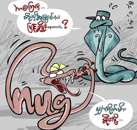 “သွားရှာပြီ၊ အဖတ်ကို ပြန်ဆယ်၍ မမီတော့ပါ”